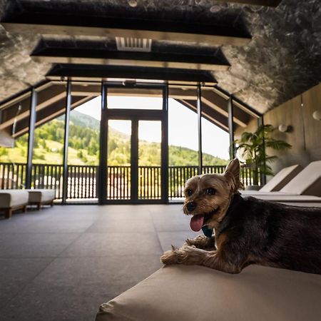 Hotel Roman Maramures - Ski & Spa Resort Statjunea Borsa Luaran gambar
