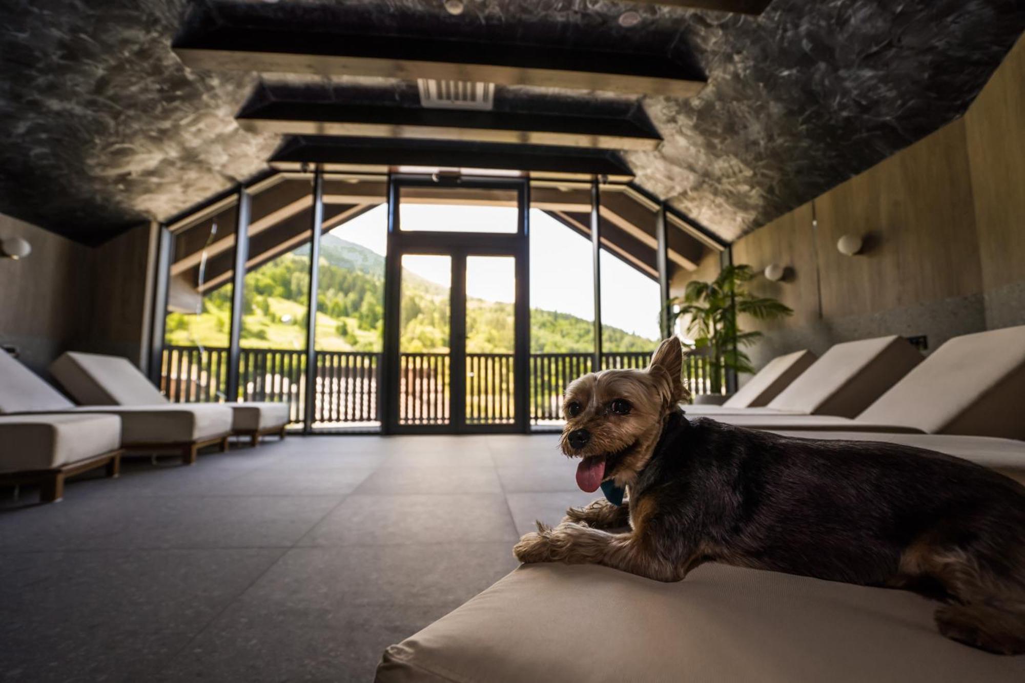 Hotel Roman Maramures - Ski & Spa Resort Statjunea Borsa Luaran gambar